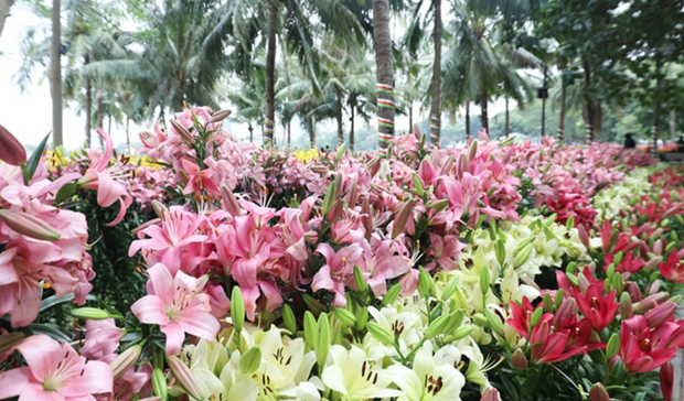 Ouverture d’un festival de regions de floriculture a Hanoi hinh anh 1