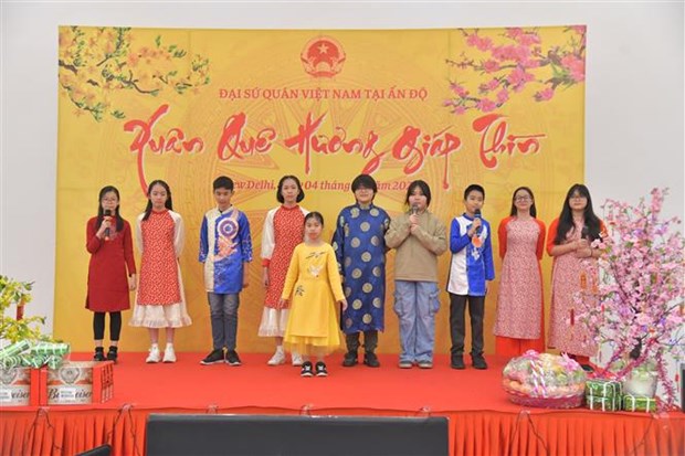 Les Vietnamiens a l’etranger se joignent aux celebrations du Tet hinh anh 1