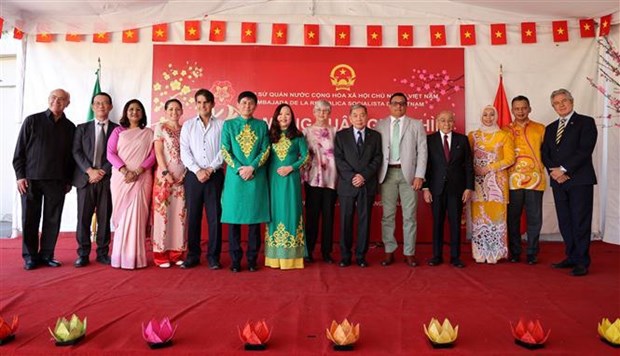 Les Vietnamiens a l’etranger se joignent aux celebrations du Tet hinh anh 2