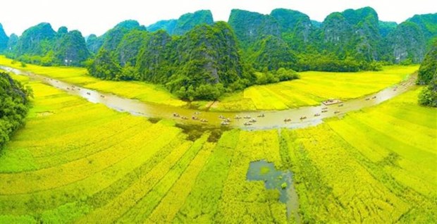 Le Vietnam en route pour verdir son tourisme hinh anh 1