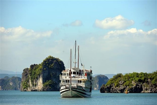 La course mondiale de yachts fera escale a Quang Ninh hinh anh 1