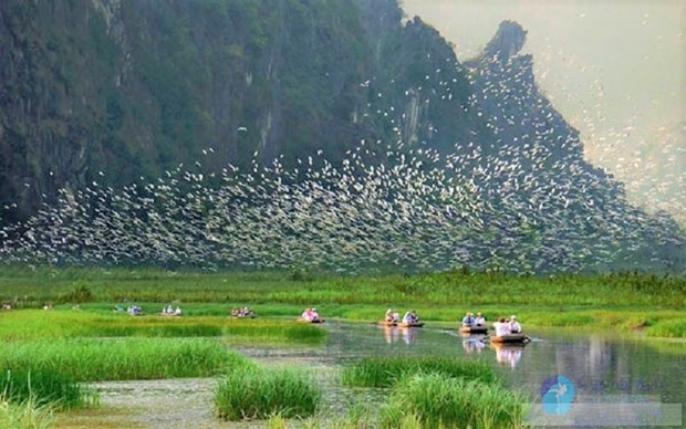 Ninh Binh promeut le developpement du tourisme durable hinh anh 3