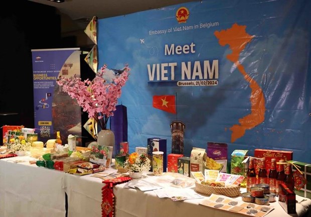 Le Vietnam et la Belgique promeuvent la cooperation dans des domaines hinh anh 1