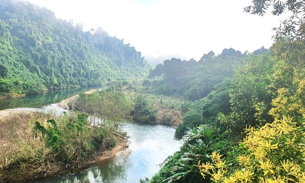 Plantation de 50.000 arbres indigenes a la Reserve naturelle de Dong Chau-Khe Nuoc Trong hinh anh 1
