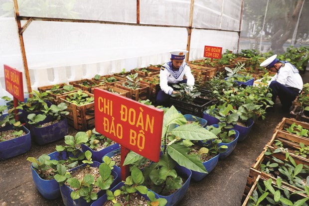 Les progres scientifiques de l’agriculture insufflent un vent nouveau a Truong Sa hinh anh 1