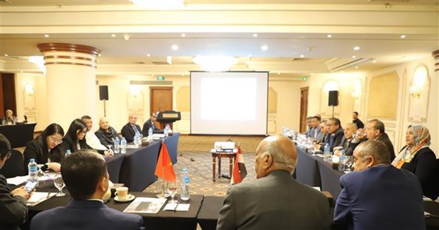 La province egyptienne de Louxor souhaite renforcer la cooperation avec le Vietnam hinh anh 2
