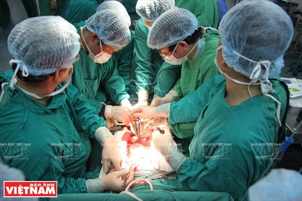 Des realisations historiques de la transplantation d'organes au Vietnam hinh anh 1