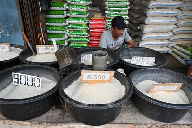 Le gouvernement indonesien compte d’importer 1,6 million de tonnes de riz supplementaires hinh anh 1