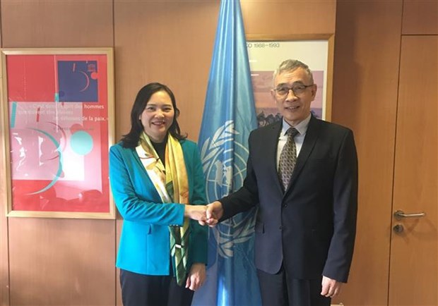 Le Vietnam et l’UNESCO envisagent d’approfondir leur cooperation hinh anh 1