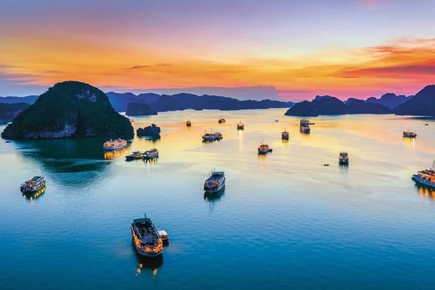 Un spectacle de lumiere de drones sera presente cet ete au-dessus de la baie d'Ha Long hinh anh 1