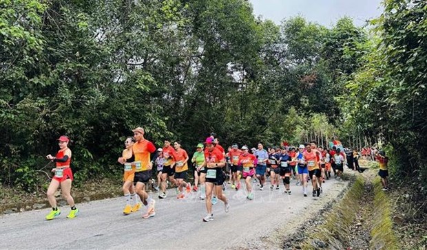 Pres de 2.400 coureurs participent a Quang Binh Discovery Marathon 2024 hinh anh 1