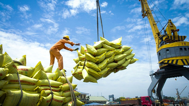 Les exportations de riz vers le Senegal restent faibles par rapport a la demande hinh anh 1