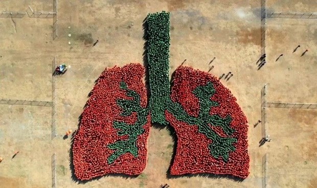 Les Philippines etablissent un record mondial pour la plus grande image de poumon humain hinh anh 1