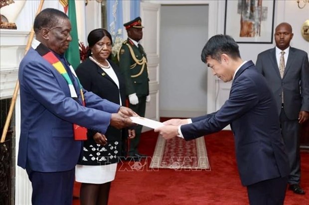 Le president du Zimbabwe veut promouvoir la cooperation avec le Vietnam hinh anh 1