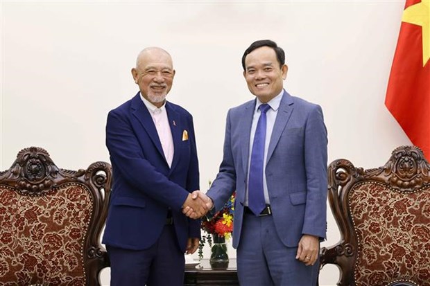 Diversifier les activites de cooperation entre le Vietnam et le Japon hinh anh 1