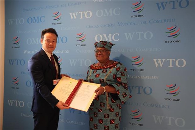 L'OMC reconnait les contributions du Vietnam au systeme commercial multilateral hinh anh 1