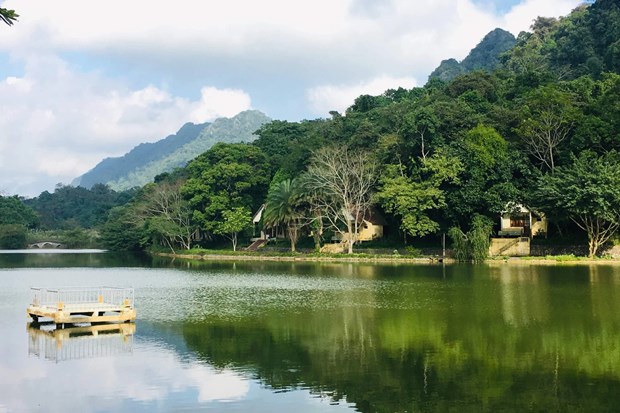 Le parc national de Cuc Phuong choisit la voie de l’ecotourisme hinh anh 2
