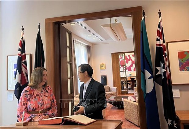 La presidente du Senat australien recoit l’ambassadeur du Vietnam hinh anh 1