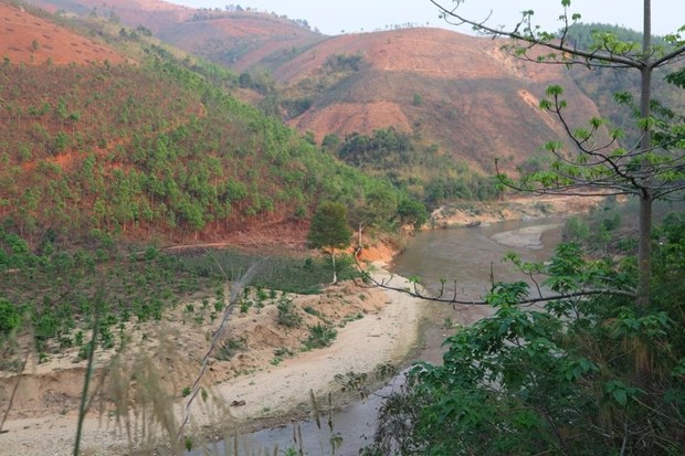 Le Vietnam possede environ 14,86 millions d'hectares de forets hinh anh 1