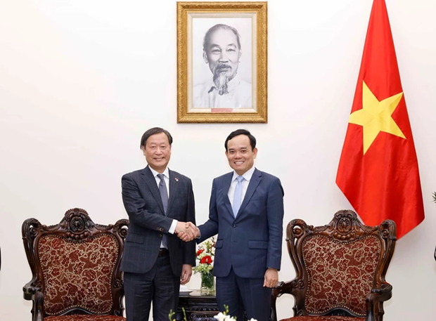 Le vice-PM Tran Luu Quang recoit le vice-president executif senior de la JICA hinh anh 1