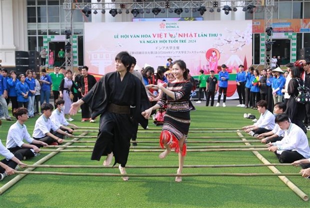 Le Festival culturel Vietnam-Japon 2024 a Da Nang hinh anh 2