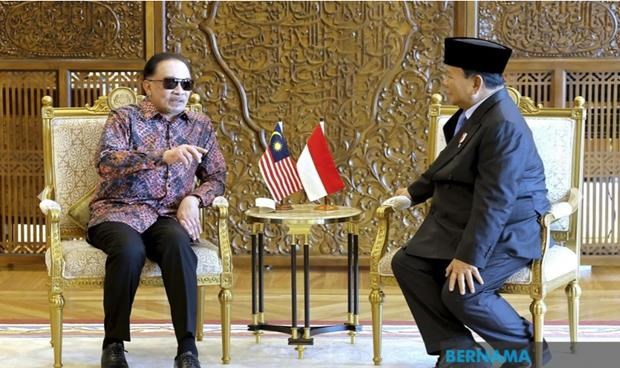 Le president elu indonesien se rend en Malaisie hinh anh 1