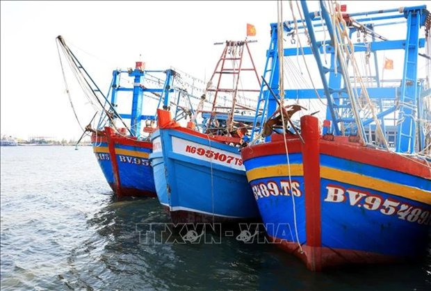 Peche INN : Le nombre de bateaux contrevenants chute a Ba Ria-Vung Tau hinh anh 1