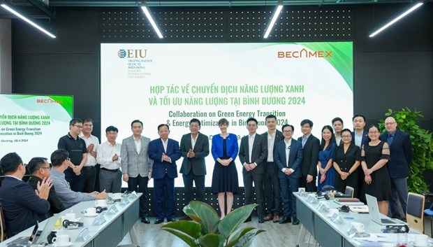 Binh Duong et le Royaume-Uni cooperent pour promouvoir l'energie verte hinh anh 1