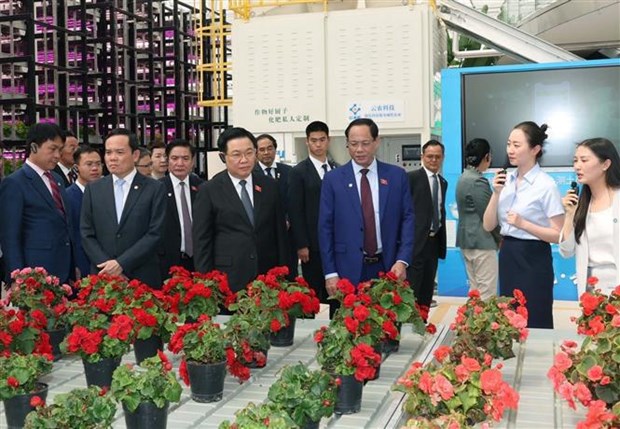 Le president de l'AN visite des modeles economiques typiques de la province du Yunnan hinh anh 1