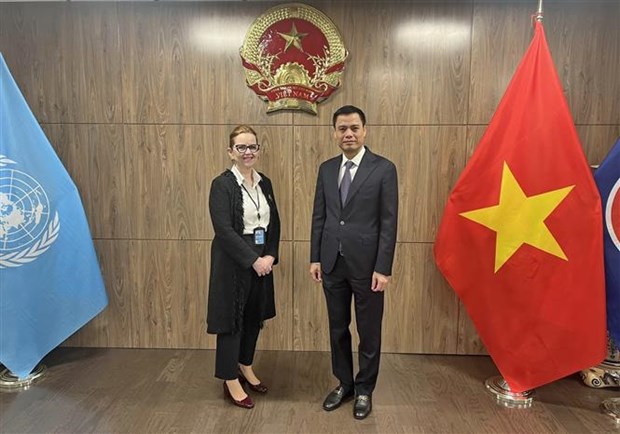 L'UNRWA apprecie hautement le soutien du Vietnam hinh anh 1