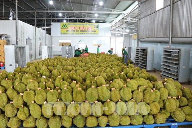 La Thailande se prepare a publier des normes de produits pour les exportations de durian hinh anh 1