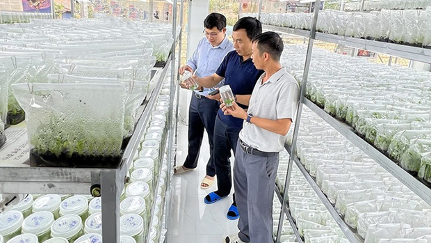 Les entreprises vietnamiennes sont pretes pour la transformation numerique et la transition verte hinh anh 1