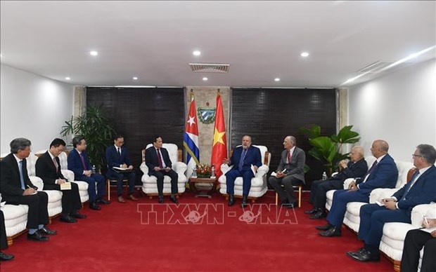 Les dirigeants cubains apprecient le soutien du Vietnam et appellent a davantage d'investissements hinh anh 2