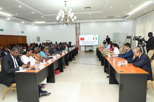 Le Vietnam attache de l'importance a la promotion d'une cooperation multiforme avec la Cote d'Ivoire hinh anh 1
