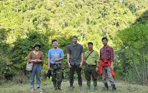 Conservation des loris dans la reserve naturelle de Xuan Lien hinh anh 2