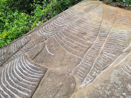 De mysterieux petroglyphes decouverts a Yen Bai hinh anh 2