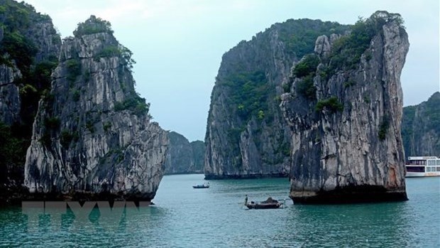 Quang Ninh depense 8,6 millions de dollars dans son programme de relance du tourisme hinh anh 1