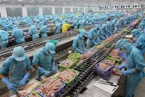 Kien Giang table sur une croissance du chiffre d’affaires a l’export de 12,7% hinh anh 1