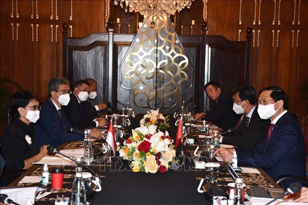 La visite en Indonesie du president vietnamien devrait approfondir les liens hinh anh 2