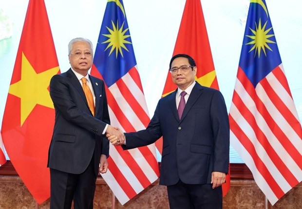 Entre le Vietnam et la Malaisie, une relation d’un demi-siecle hinh anh 1