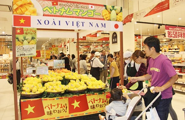 Les produits vietnamiens s’integrent dans des reseaux de distribution etrangers hinh anh 1