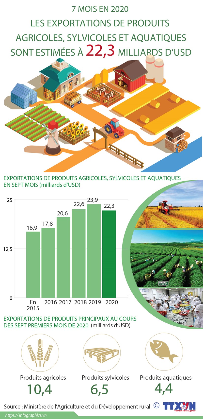Exportations de produits agricoles, sylvicoles et aquatiques estimees a 22,3 milliards d'USD hinh anh 1