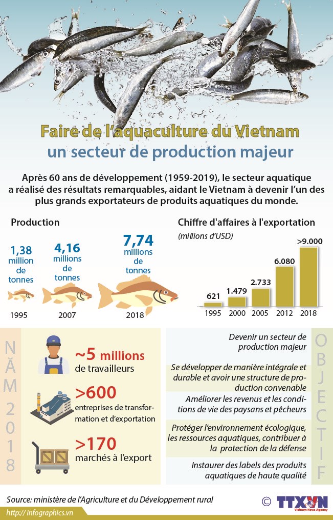 Faire de l’aquaculture du Vietnam un secteur de production majeur hinh anh 1