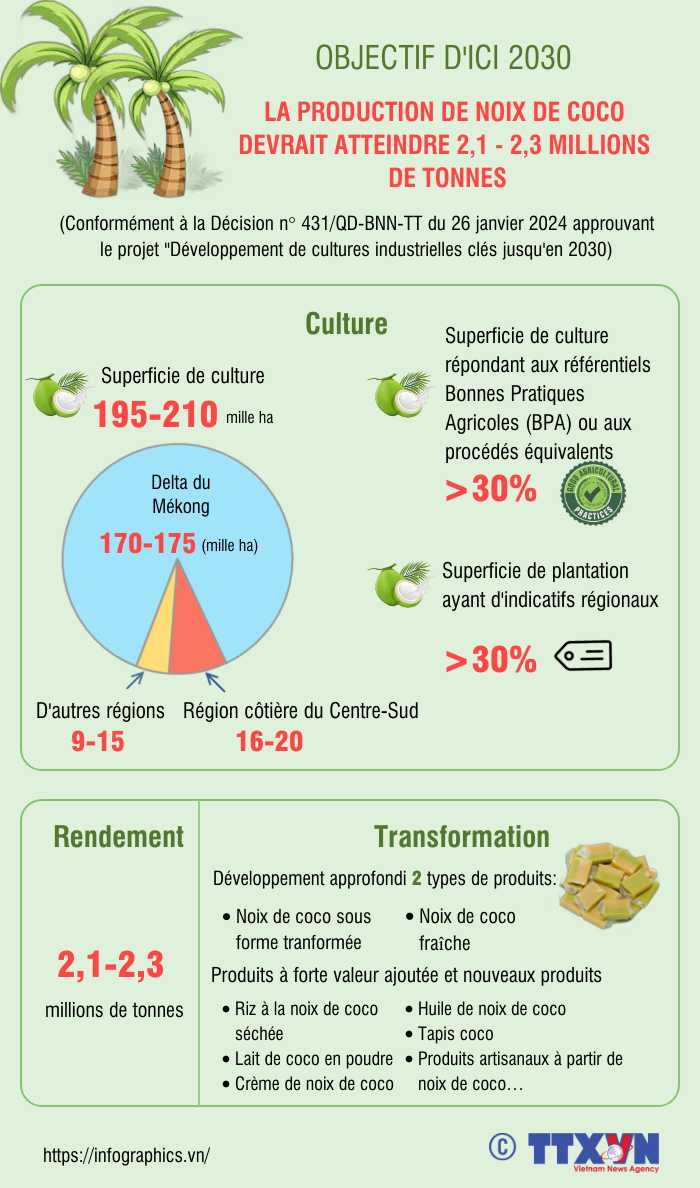 La production de noix de coco devrait atteindre 2,1 a 2,3 millions de tonnes d'ici 2030 hinh anh 1