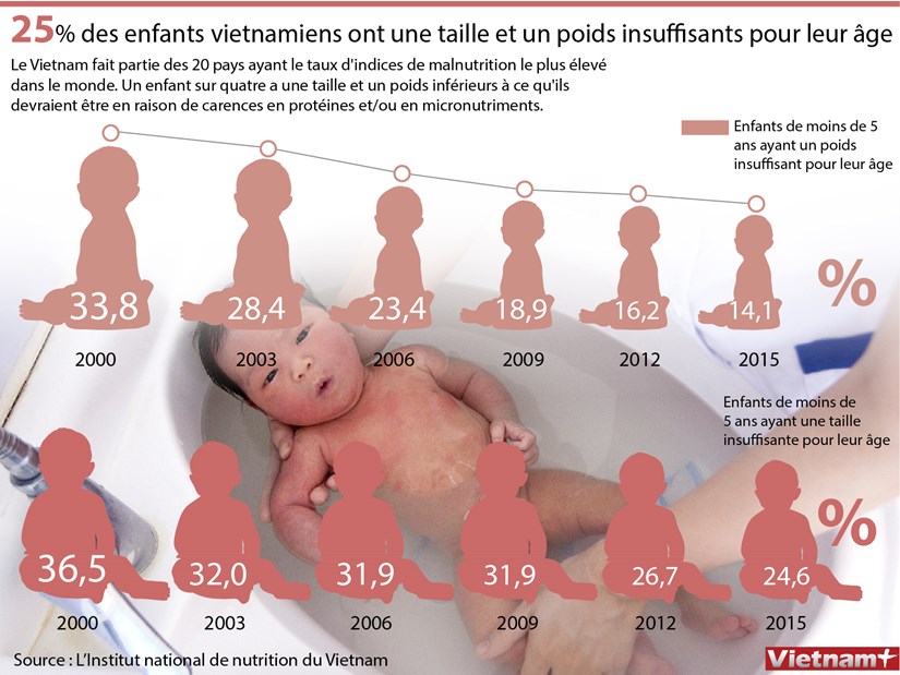 25% des enfants vietnamiens ont une taille et un poids insuffisants pour leur age hinh anh 1