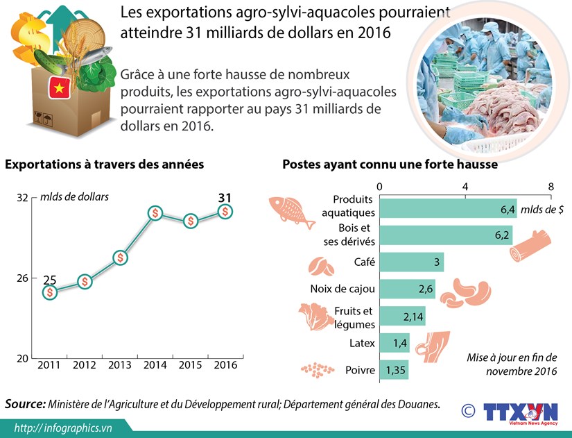 Les exportations agro-sylvi-aquacoles pourraient atteindre 31 mlds de $ hinh anh 1