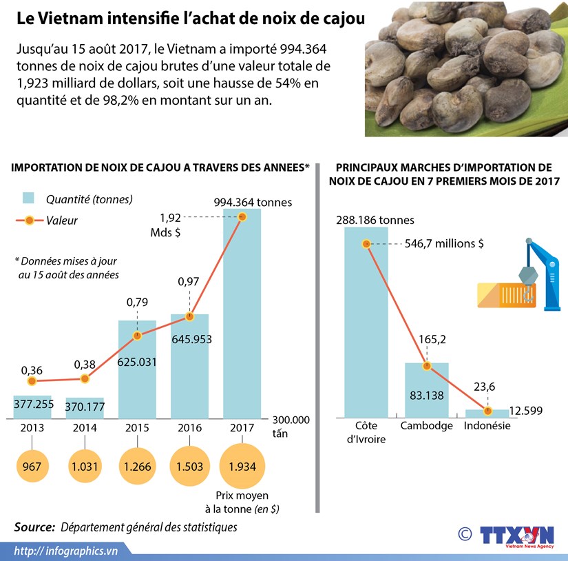 [Infographie] Le Vietnam intensifie l’achat de noix de cajou hinh anh 1