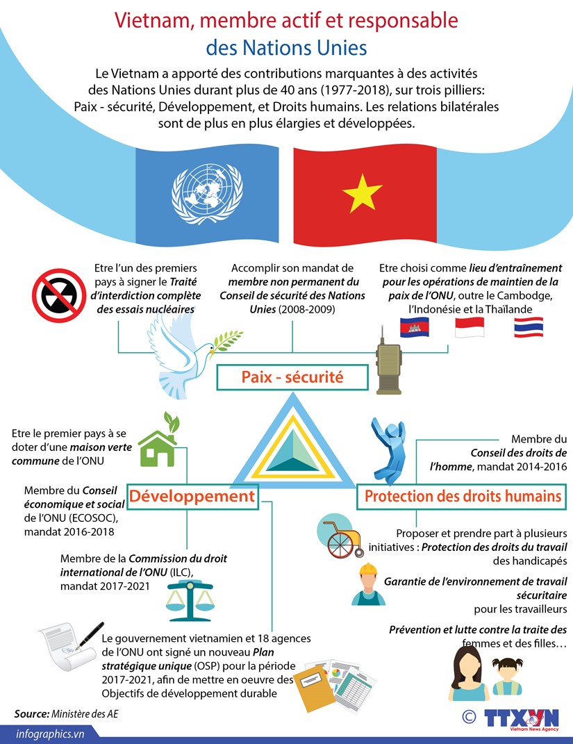 [Infographie] Vietnam, membre actif et responsable des Nations Unies hinh anh 1