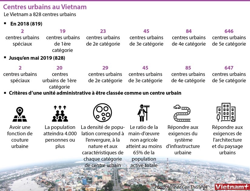 Les centres urbains au Vietnam hinh anh 1