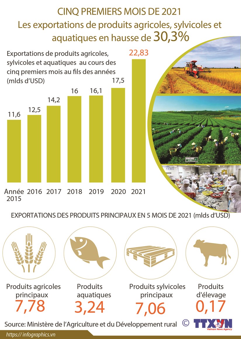 Les exportations de produits agricoles,sylvicoles et aquatiques en hausse de 30,3% en 5 mois hinh anh 1